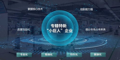 玄羽科技荣膺国家级“专精特新”小巨人企业，引领工业互联网数据服务新篇章